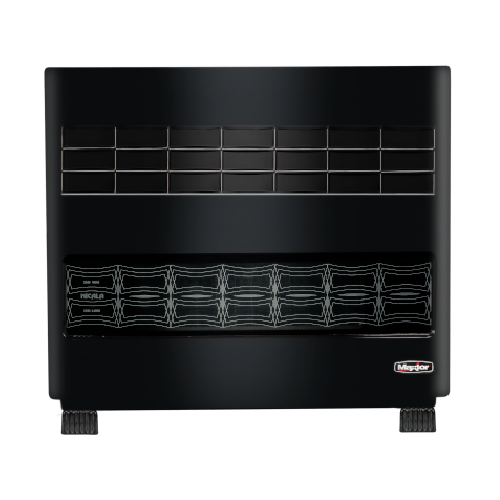 Maxtor N16